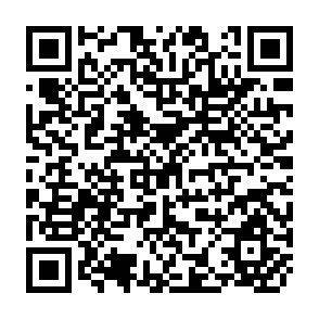 QR Code for Lending Without Limits on International Lending and Developing Countries