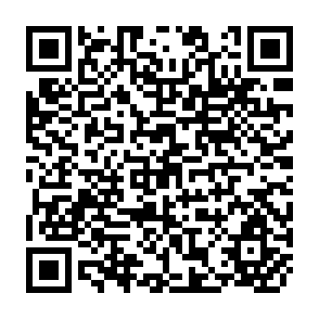 QR Code for Lending Without Limits on International Lending and Developing Countries