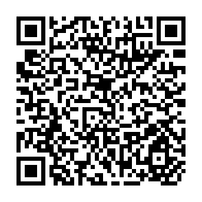 QR Code for Handbook of Cane Sugar Technology