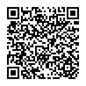 QR Code for Corned Beef and Tapioca: A Report on the Food Distribution Systems in Tonga