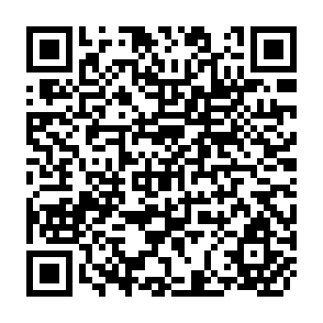 QR Code for Indonesia and Australia : The Politics of aid and Development Since 1966