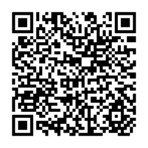 QR Code for Indonesia and Australia : The Politics of aid and Development Since 1966
