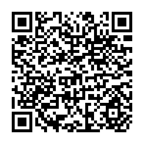 QR Code for Social and Economic Aspects of Tidal Swamp Land Development in Indonesia
