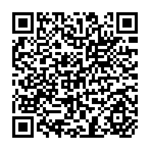 QR Code for Will High Interest Pates Lead to Increased Real Savings? A Comment on The Interest Rate Reform in South Korea