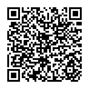 QR Code for Will High Interest Pates Lead to Increased Real Savings? A Comment on The Interest Rate Reform in South Korea