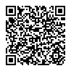 QR Code for Fertility Behavior and Labor Force Participation: A Model of Lexicographic Choice