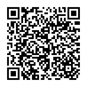 QR Code for The Economic Costs Of Children In The Philippines: