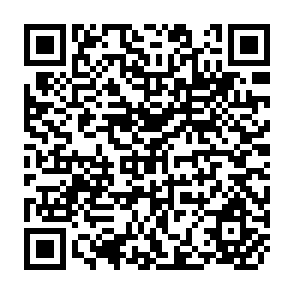 QR Code for The Distribution of Income and Wealth: A Survey of Philippine Research