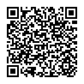 QR Code for One World Only