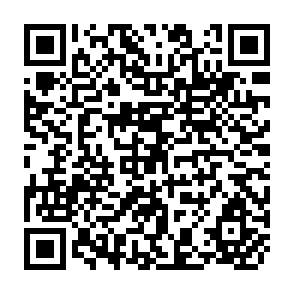 QR Code for Energy and Protein Requirements