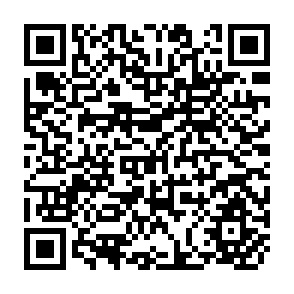 QR Code for Graphical Representation of Multivariate Data