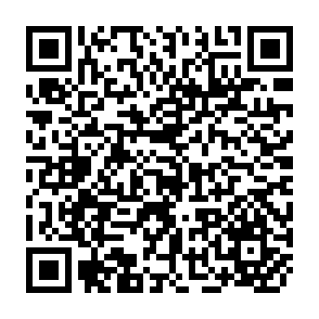 QR Code for Rural organizations in south india: the dynamics of laborer and tenant unions and farmer assocations in Keralaand Tamil Nadu