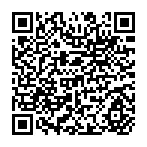 QR Code for The Rural-Urban Wage Gap, Migration, and the Shadow Wage