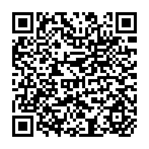 QR Code for Two Analysis of Indian Foodgrain Production and consumption Data