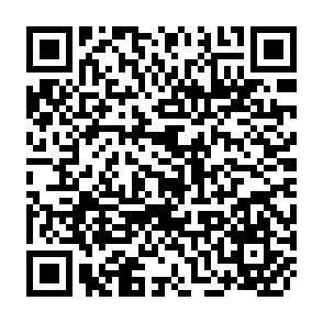 QR Code for Social Science Organization and Policy