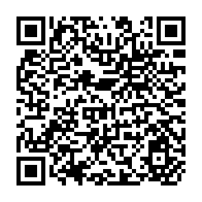 QR Code for Pal Colour Telecision