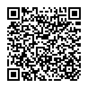 QR Code for Planning for Effective Public Rural Works Programmes