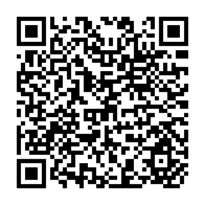 QR Code for Rice and Risk - Decision Making Among Low-income Farmers