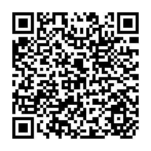 QR Code for Socialist Economics Development and Reforms