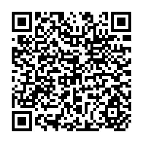 QR Code for Quantative Analysis of Modernization and Development