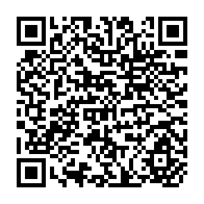 QR Code for The Political Economy of Political Development: A case Study of Regional Development in the Philippines Before Martial Law