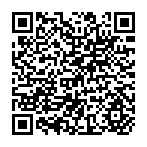 QR Code for Replacing Imported Food Supplies to Port Moresby, Papua new Guinea