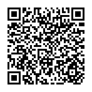 QR Code for Reports on Swanirvar Workcamps
