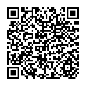 QR Code for An Organizational Analysis of Agricultural Extension and Related Programmes in the People's Republic of Bangladesh