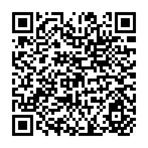 QR Code for Some Problems Related to the Training Process