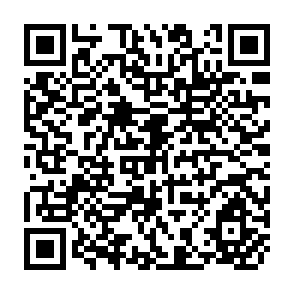 QR Code for Final Report on the Workshop on Project Formulation and Evaluation