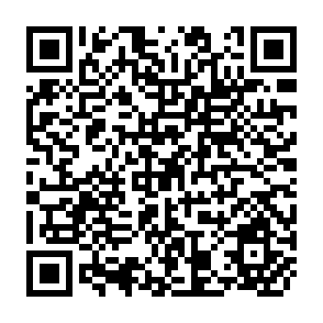 QR Code for International Indebtedness and The Developing Countries