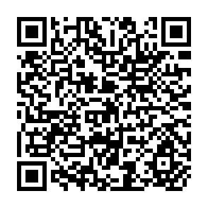 QR Code for The Economic Theory of Pollution Control