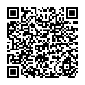 QR Code for The Shared Space the two cricuits of the urban economy in underdeveloped countries
