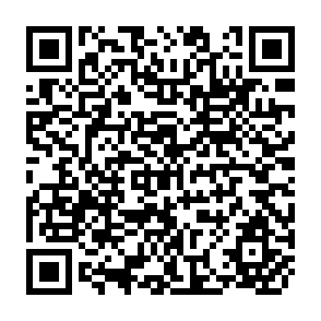 QR Code for The Development Economices and the International Framework