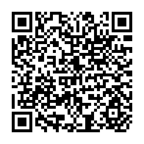 QR Code for World Development Report 1980