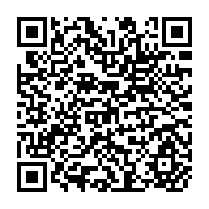 QR Code for The Economics of Soviet Planning