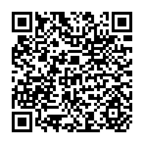 QR Code for International Comparability of Statistics on Income Distribution