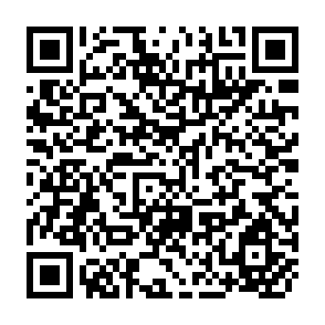 QR Code for Progress of Management Research