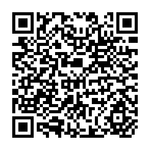 QR Code for Statistical Inquiry