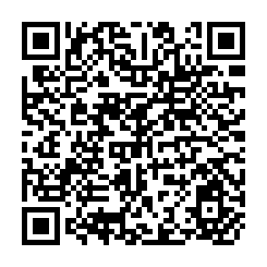 QR Code for The indisn Economy Poverty and Development