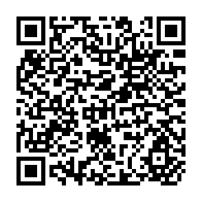 QR Code for DARE Information Management System