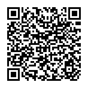 QR Code for North-South: A Programme for Survival