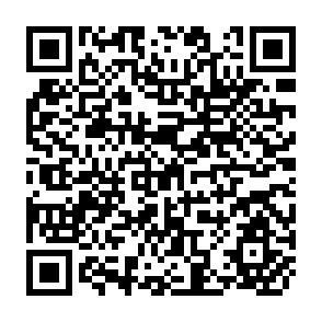 QR Code for Fertilizer Distribution at the Level of Small Farmers