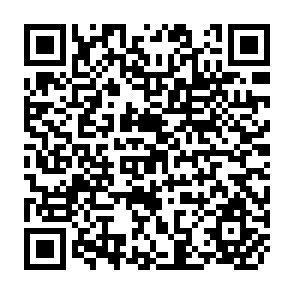 QR Code for Survey Sampling and Measurement