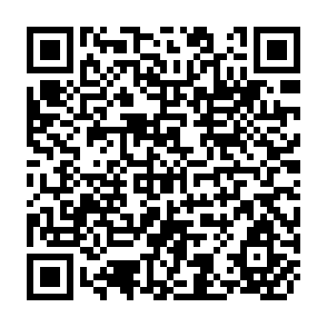 QR Code for Food,Politics,and Agricultural Development