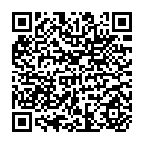 QR Code for Philisophical Problems of Statistical Inference