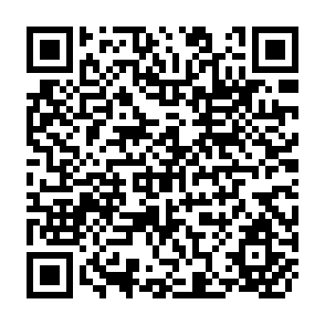 QR Code for International Trade