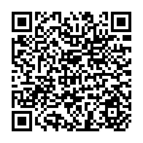 QR Code for On Learning to plan- and Planning to Learn