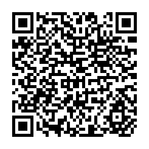 QR Code for Needed Information and Economics Analysis for Fertilizer Policy Formulation