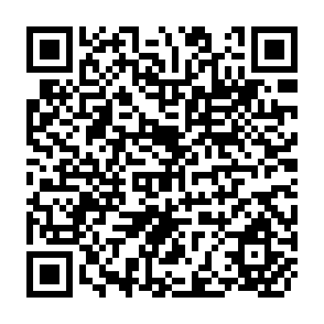 QR Code for Farm Management: Its Role in Alleviating Institutional Constraints Facing Asian Small Farms
